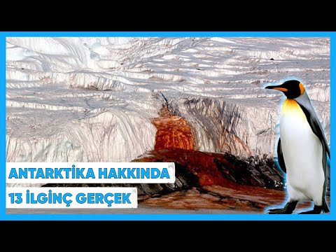 Video: Antarktika Hakkında 7 Ilginç Gerçek