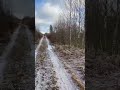 Моя стезя #коп #metaldetecting #мд #поиск #coin #монеты #пошук #клад