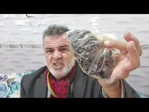 توثيق اتلافي لجزء من مكتبتي للاعشاب عمرها 40 سنة بسبب تلفها