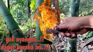 Shocking..!! The longest heirloom pulled out of a haunted bamboo