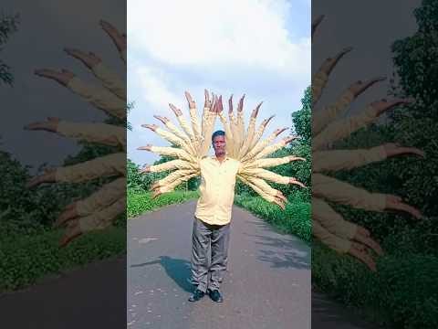 Ganpati Ganpati Bappa Morya2025 Ganesh Chaturthi Special Ganesh Ganpati Shortsfeed Shorts