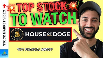 ✅ Research This New Stock! 💥 Focused on DOGE!! 💥House of Doge