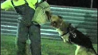 Having Fun With LOBO.avi