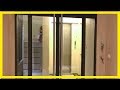 家中大門千萬不能擺 這一物 小心敗光財運 家中大門千萬不能擺 這一物 小心敗光財運