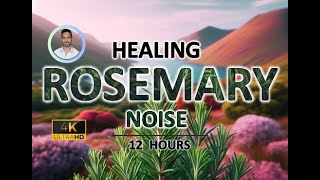 Deep Healing Rosemary Noise | 12 Hours | Improves Sleep and Memory / Tinnitus and Stress Relief