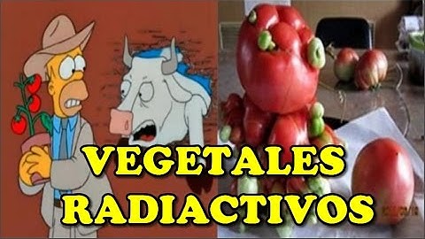 Vegetales Mutantes de la central Nuclear de Fukushima en Japon
