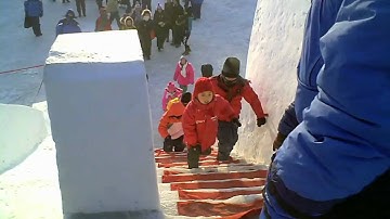 Visit to Sun Island Snow Sculpture Park