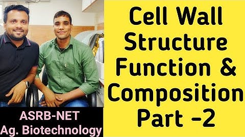 Cell Wall Structure, Function and Composition (Part :2)!!