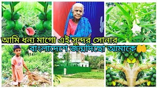 #আলহামদুল্লিলহ জন্মেছি এই সুন্দর সবুজ বাংলাদেশ🌿আমাদের গ্রামের কিছু দৃশ্য🌿 village kitchen jhorna bl!