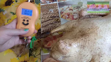 СКОЛЬКО ДЕНЕГ УШЛО НА ГУСЕЙ\ ВЕС ТУШКИ