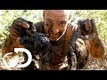 'Tonight is a Feast!' | Ed Stafford: Left For Dead