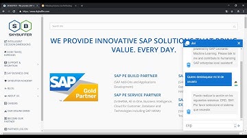 SAP Conversational AI for SAP ERP On Premise - SPANISH - Unlock my user