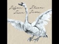 SisterSufjan Stevens