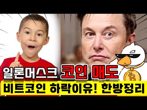   일론머스크 코인 매도 중국 부동산사태 비트코인 하락 이유 한방 정리