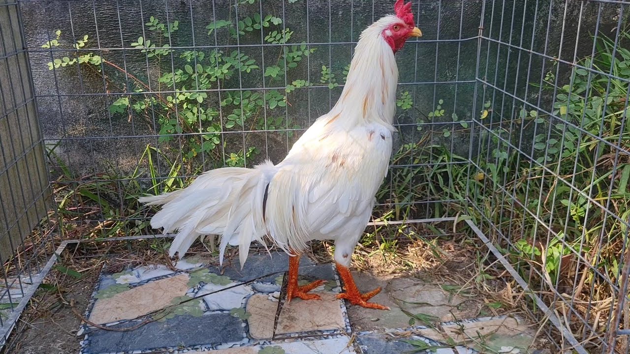 27__1:: l.ên t.ơ v..i.p g.iá m.ềm h.ợp t.úi nh.iều ng.ười 0972 một một tám 955