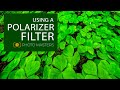 How to Use a Polarizer Filter