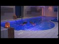 Nenni ekki á spa