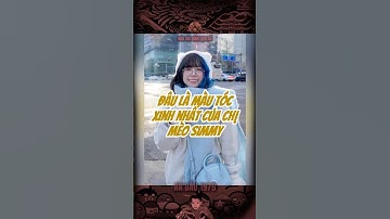 ĐÂU LÀ MÀU TÓC XINH NHẤT CỦA CHỊ MÈO SIMMY… #bảocóc #bảocócvlog #baococvlogboss #mèosimmy #shorts