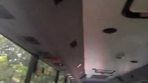 Transdev QLD School Bus Route 5139 PM15