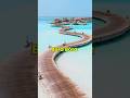 Visit Bora Bora for CHEAP! (Overwater Villas) #travel #borabora #ihg