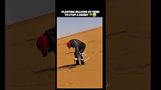 They’re Planting BILLIONS of Trees to Stop a Desert… and It’s Working 🌍