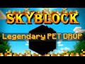 Hypixel SkyBlock Hardcore [19] The craziest RNG