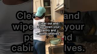 No Pesky Pests In The Kitchen Orkin