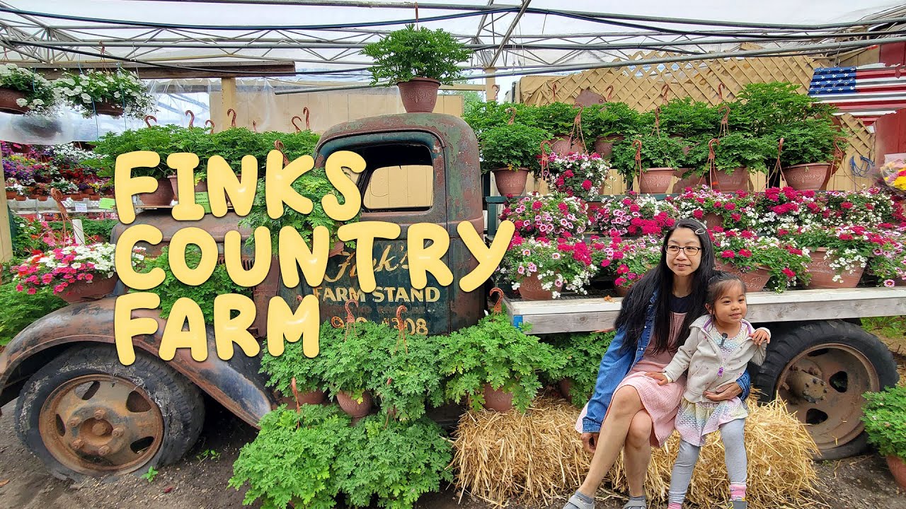 Exploring the Charming Fink's Country Farm in Wading River, New York A