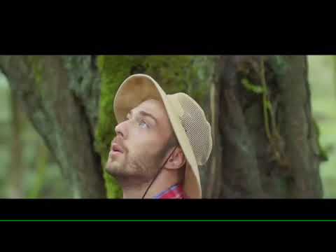 تیزر تبلیغاتی Promotional Teaser 