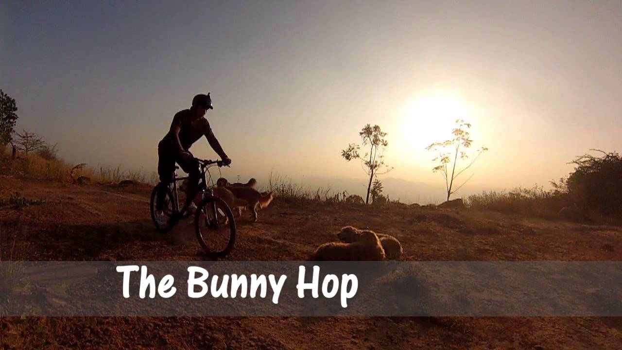 Mountain biking with my dog 18 °C (part2) YouTube