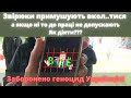 ЩО ВІДБУВАЄТЬСЯ??? Право вільного вибору відмінили??? Проколюють, незаконно звільняють, обмежують...