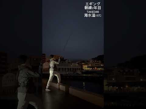 【エギング】朝練TAKE346 morning routine #shorts #fishing #낚시 #釣り #長崎 #squid #lure