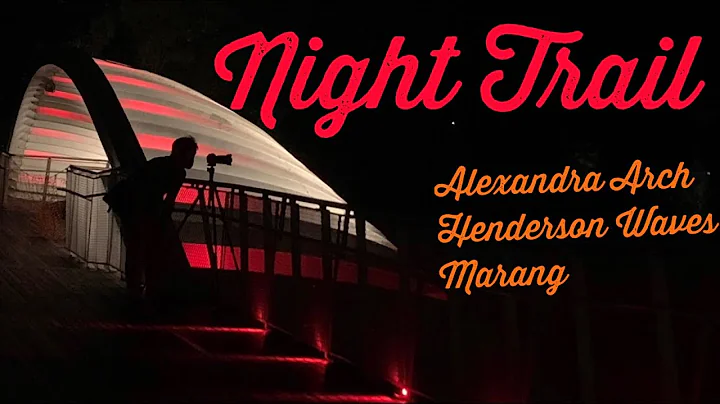 [4K] Night Trail | Alexandra Arch - Henderson Wave...