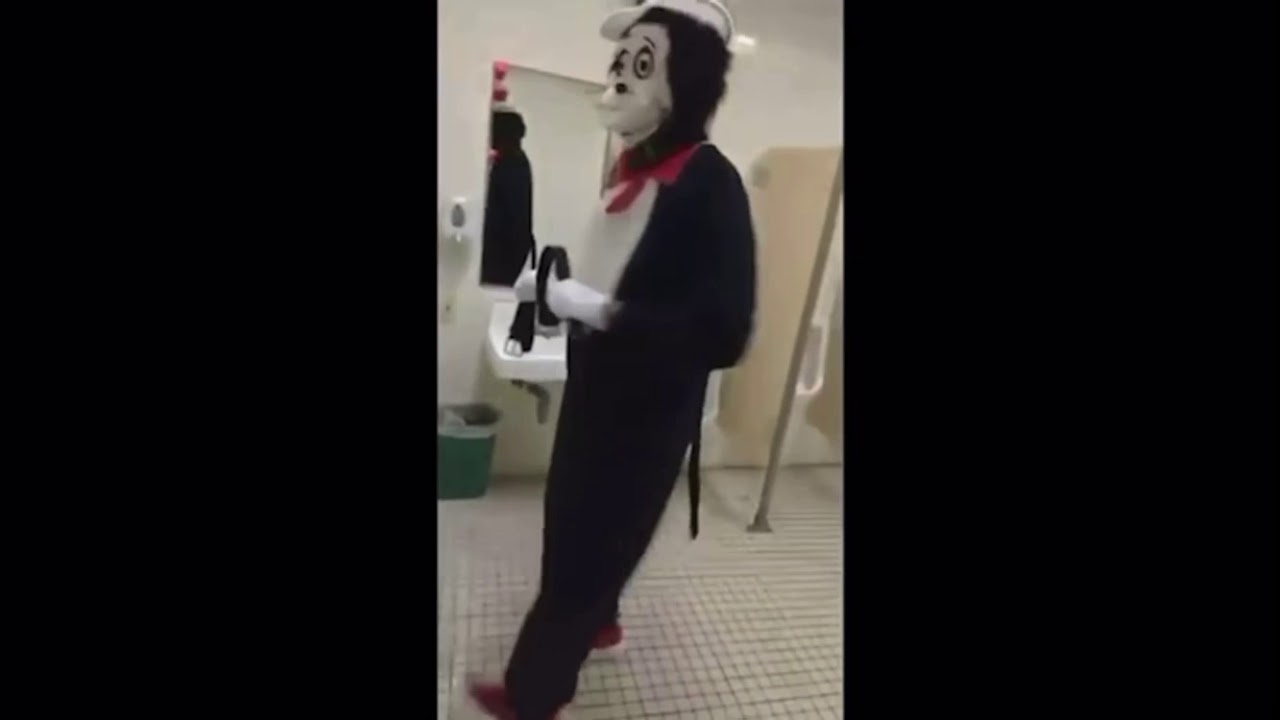 Cat In The Hat Meme Bathroom Meme Walls