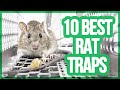 10 Best Rat Traps 2018 | Getting Rid Of Rats