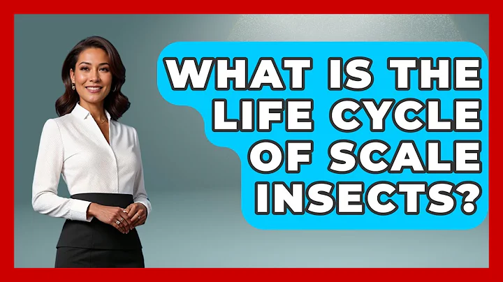 What Is The Life Cycle Of Scale Insects? - Insects and Invaders