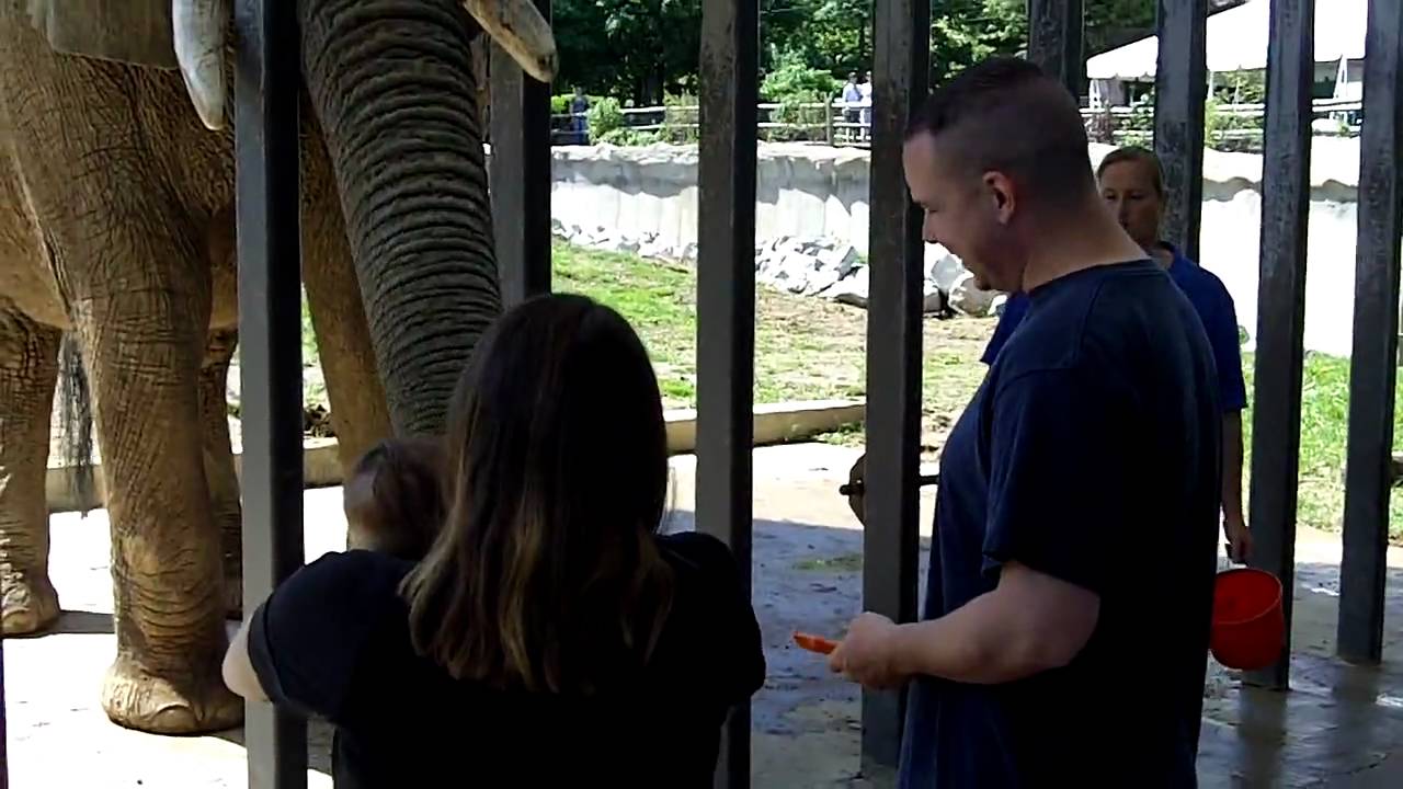 Grants Farm St Louis Elephants