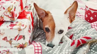 5 Tips on How to Prepare for Christmas | Christmas in July Wrap up