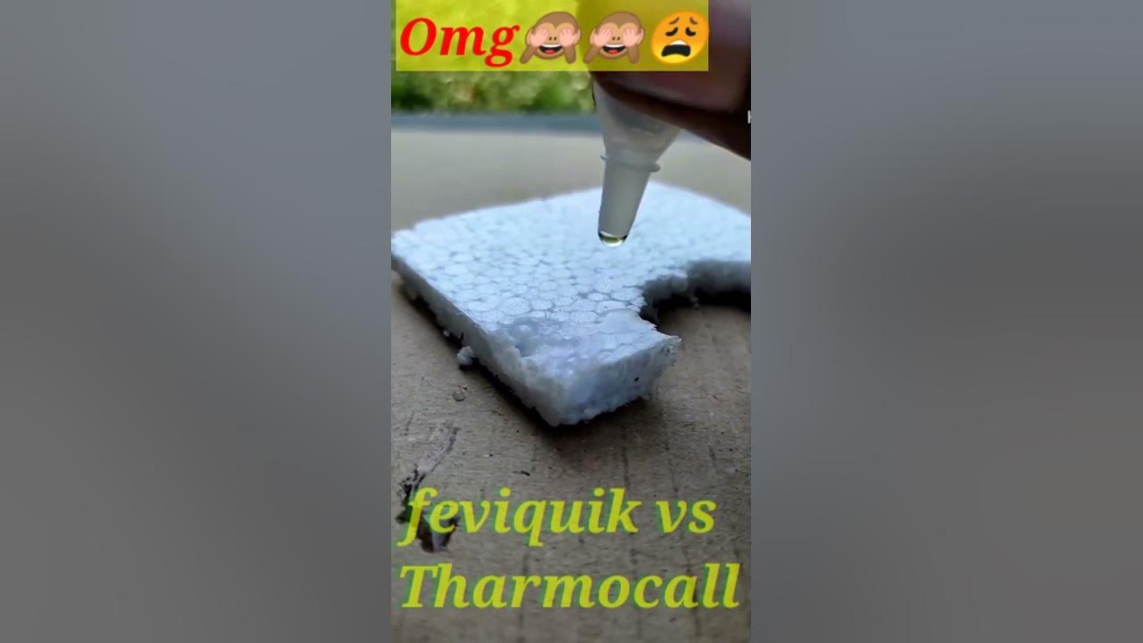 feviquick vs thermocol experiment amazingexprimen experiment YouTube