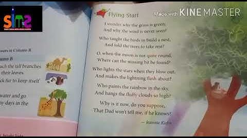 Class-3  Subject- English Chapter-13 I wonder ( exercise)