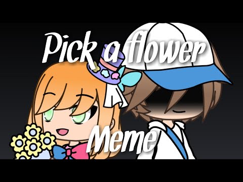 pick-a-flower---meme