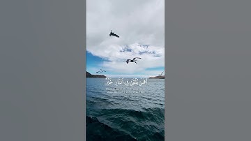 اعملوا ما شئتم إنه بما تعملون بصير - القارئ { إسلام صبحي }