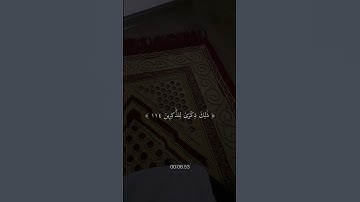 سورة هود القارئ ماهر المعيقلي #قران_كريم #اكسبلور #اكتب_شي_تؤجر_عليه