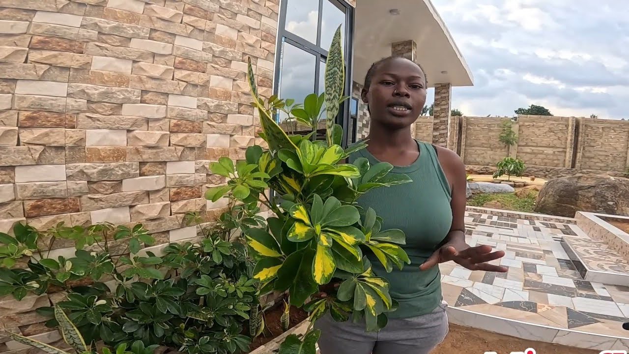 MORE BLESSINGS🙏FINALLY BEAUTIFYING OUR MODERN HOME 🏡 YouTube