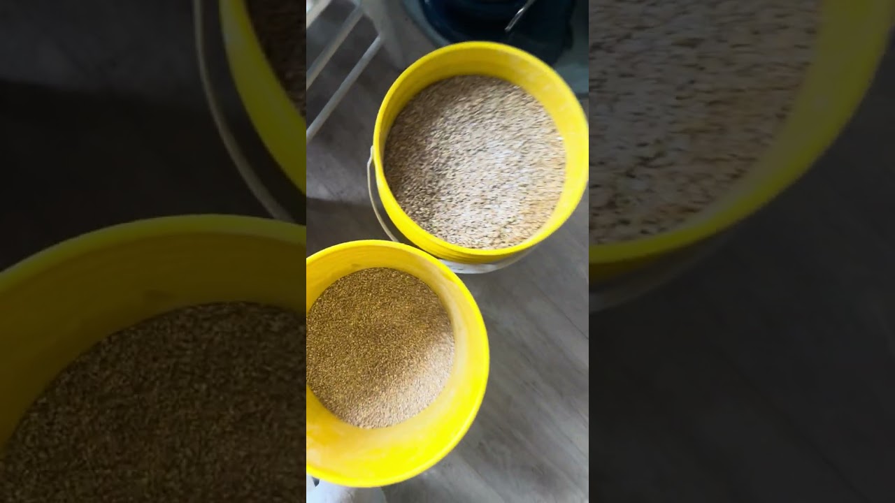 Moonshine and the endless mashing cycle.