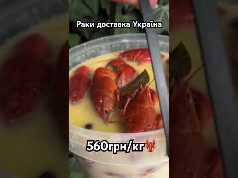 Для замовлення звʼяжіться з менеджером у вайбері+380960572236 #раки #раки #доставкараків #живірак
