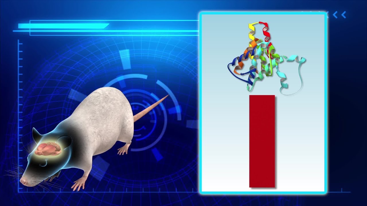MIT researchers find genetic blockade technique to potentialy treat