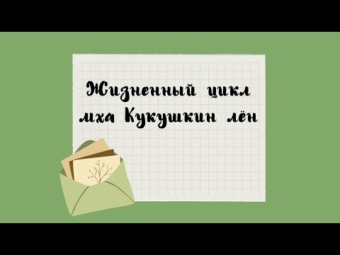 Размножение мха Кукушкин лён🌿