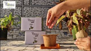 The Parnika Plantation Instructions Manual For Coco Coin