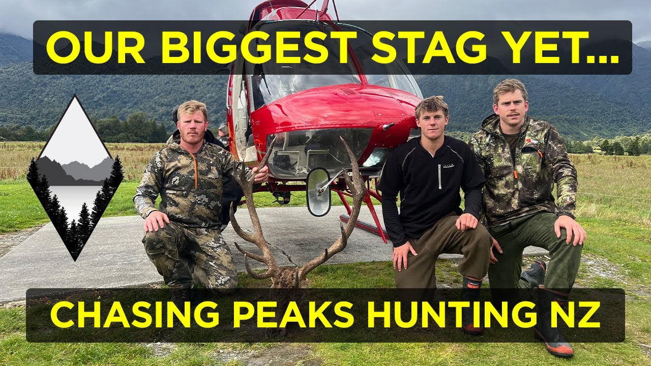 This WEST COAST STAG Was Something Special - CPNZ QUICKCLIP